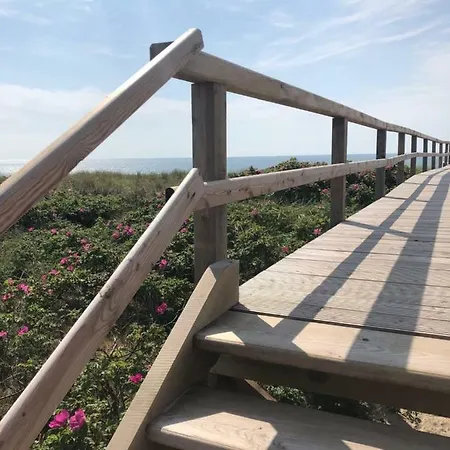 Dein Sylt